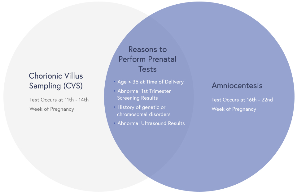 amniocentesis results