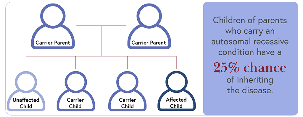 preconception-planning-genetics-ivf-institute-genetics-ivf