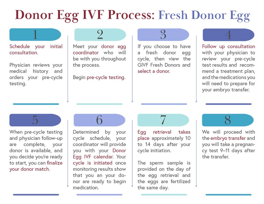 Fresh Donor Egg IVF Cycles Genetics IVF Institute Genetics IVF