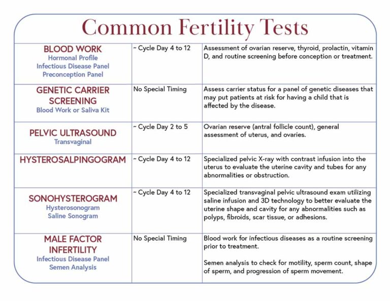 Common Fertility Tests GIVF Fertility GIVF Fertility